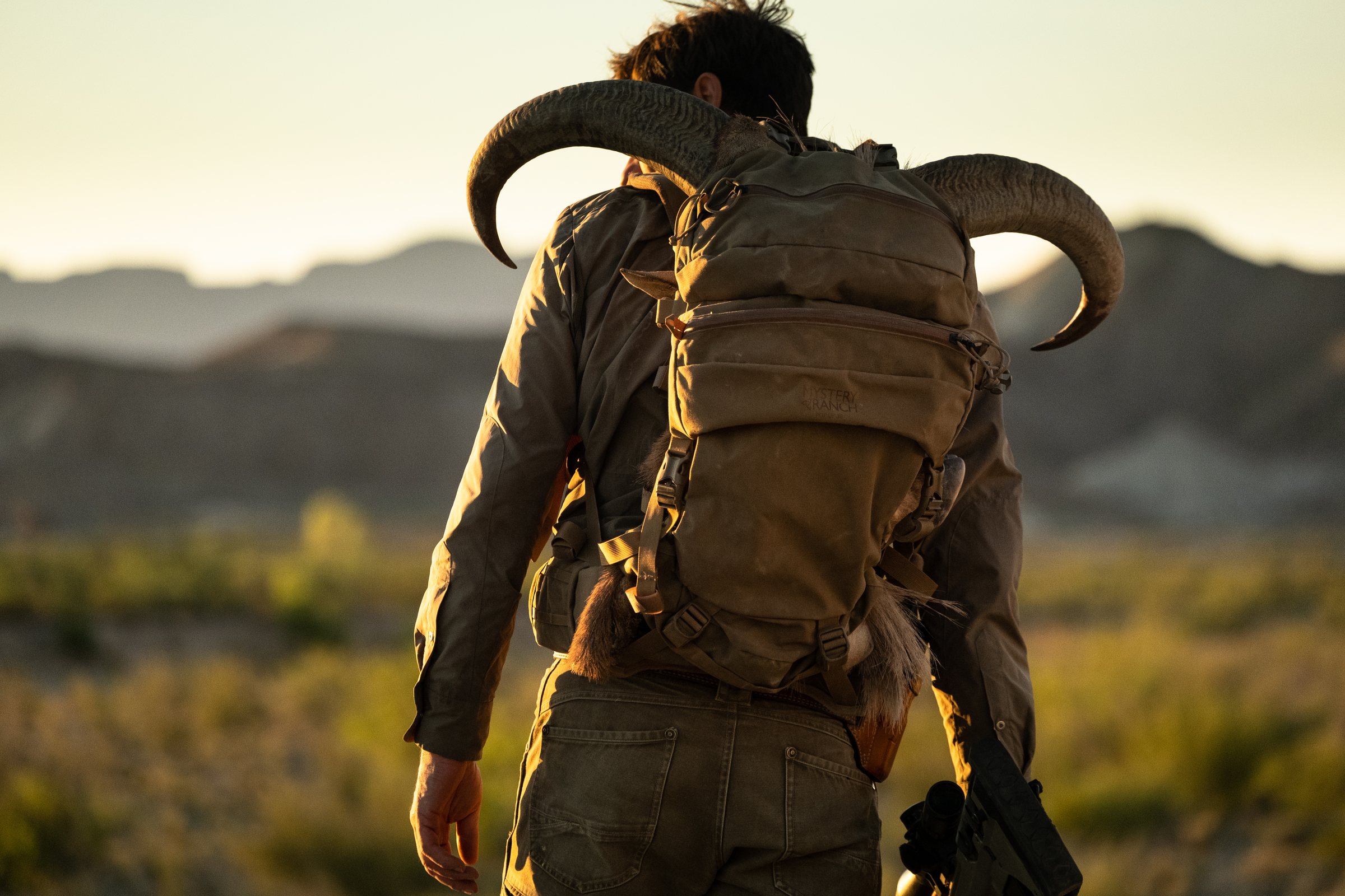 Packing an aoudad off the mountain